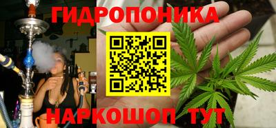 прущий лед Новозыбков