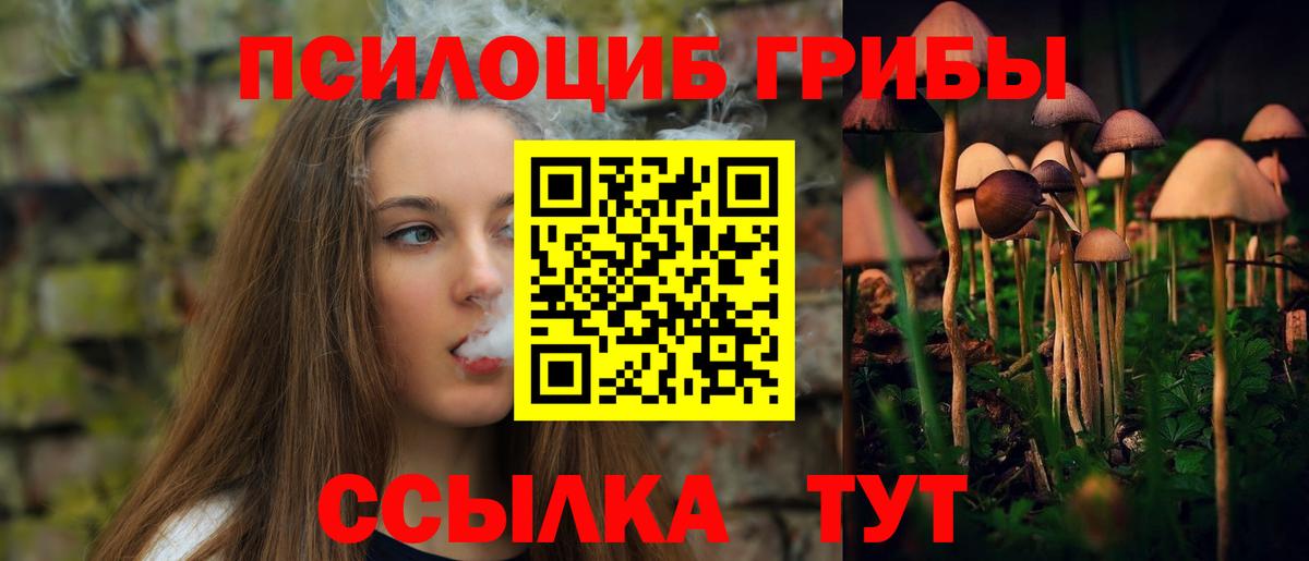 Галлюциногенные грибы Cubensis Сатка